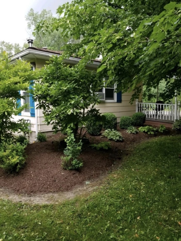 Massive double yard - 1110 N French Rd