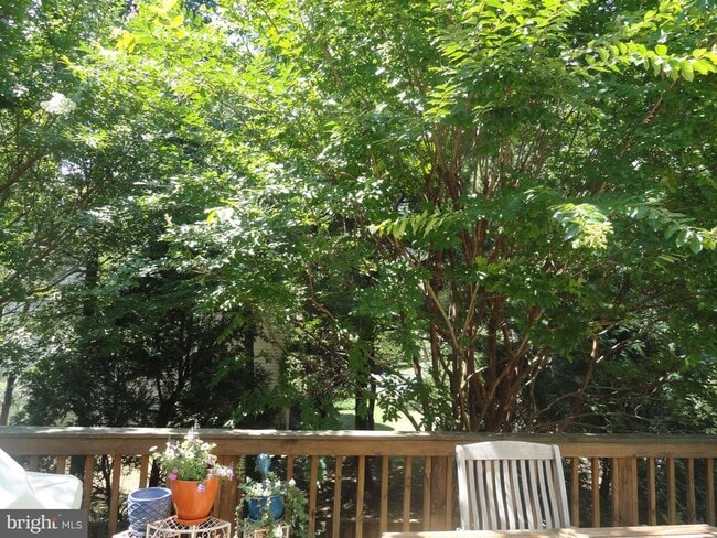 Building Photo - 2050 Meadow Springs Dr