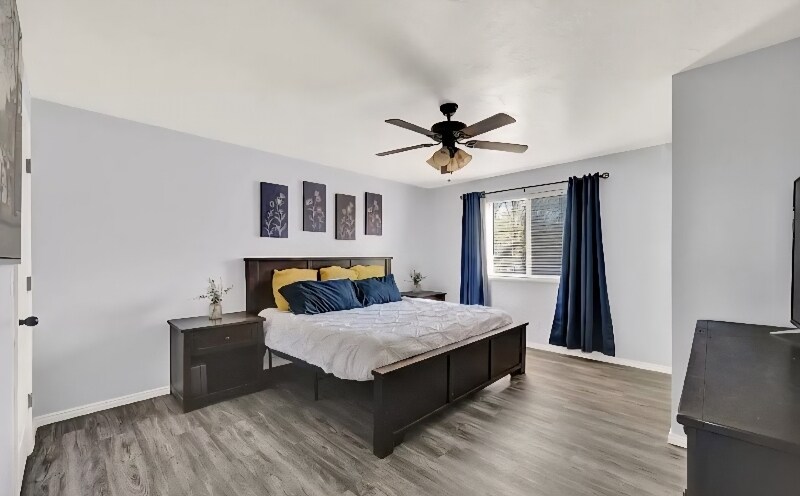 Building Photo - 5411 Leticia Ct