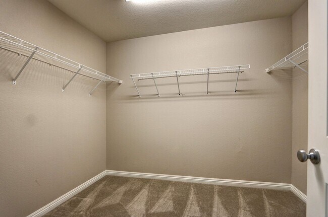 Building Photo - 2865 Tanager Hill St