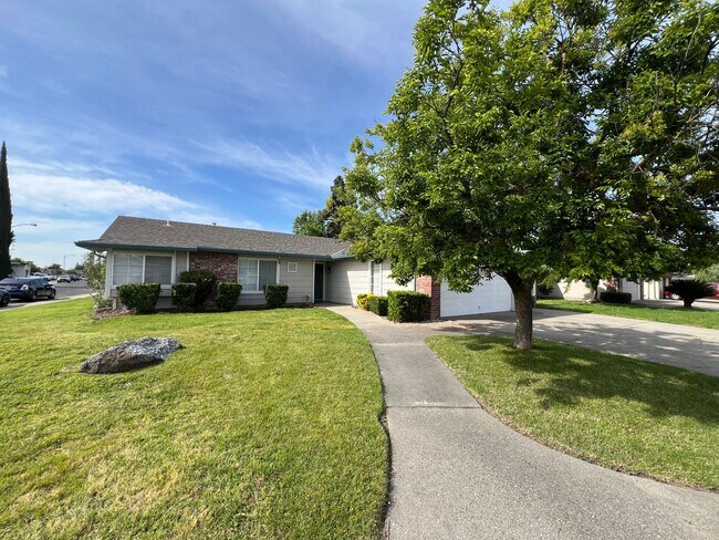 Building Photo - Updated 3 bedroom single story in Manteca!