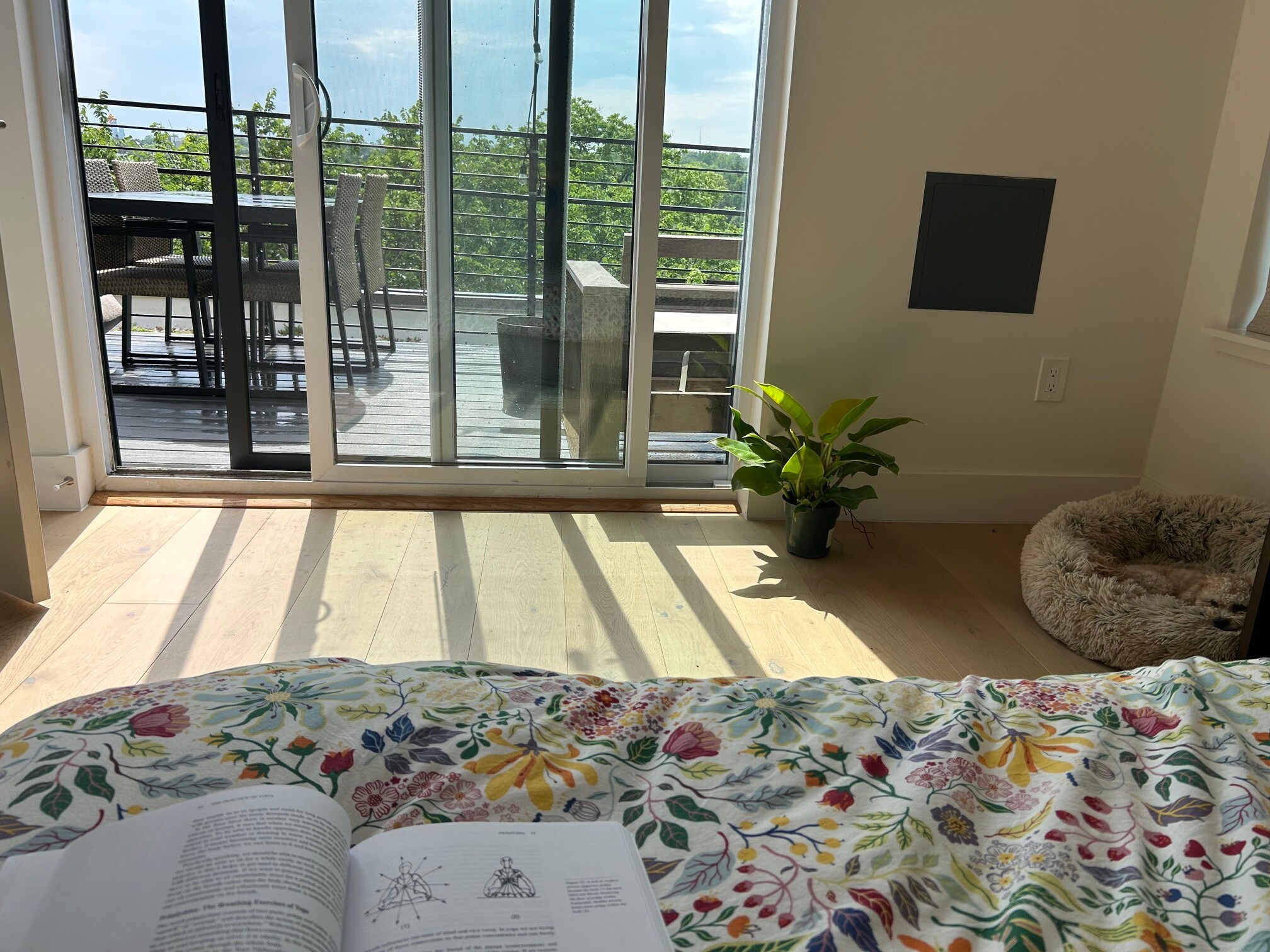 Building Photo - 4804 Georgia Ave NW