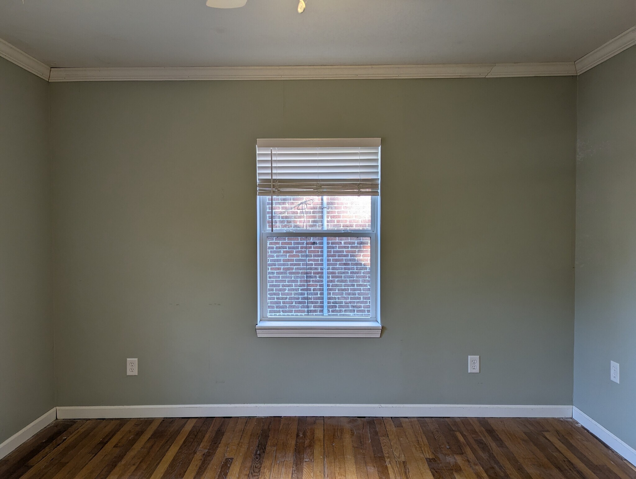 Building Photo - 527 Savannah Hwy