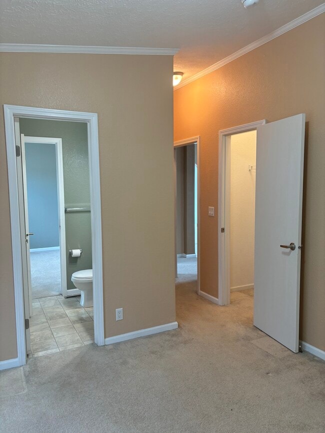 Building Photo - 1900 Plumcreek Ct