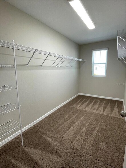 Building Photo - 34126 Scarlet Sage Ct