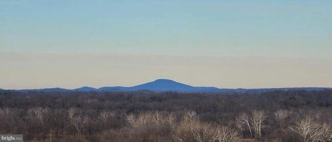 Building Photo - 19385 Cypress Ridge Terrace