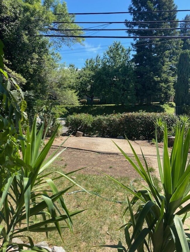 Building Photo - Shasta Lake Home w/ large yard!