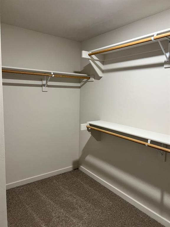 Building Photo - 2909 Firefly Dr