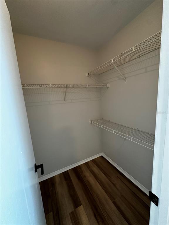 Building Photo - 4115 Chatham Oak Ct