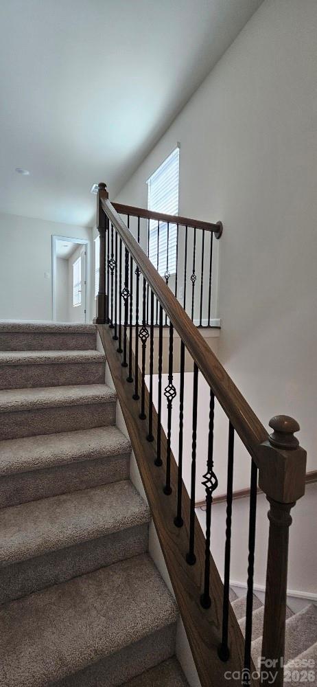 Building Photo - 1615 Cannonball Ln