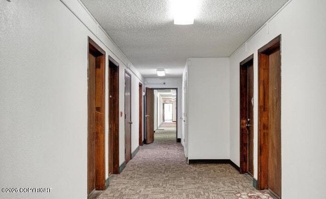 Building Photo - 3400 Eureka St