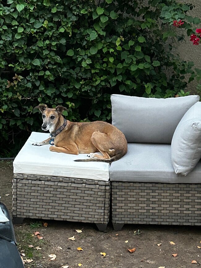 Pet friendly - 8327 Blackburn Ave