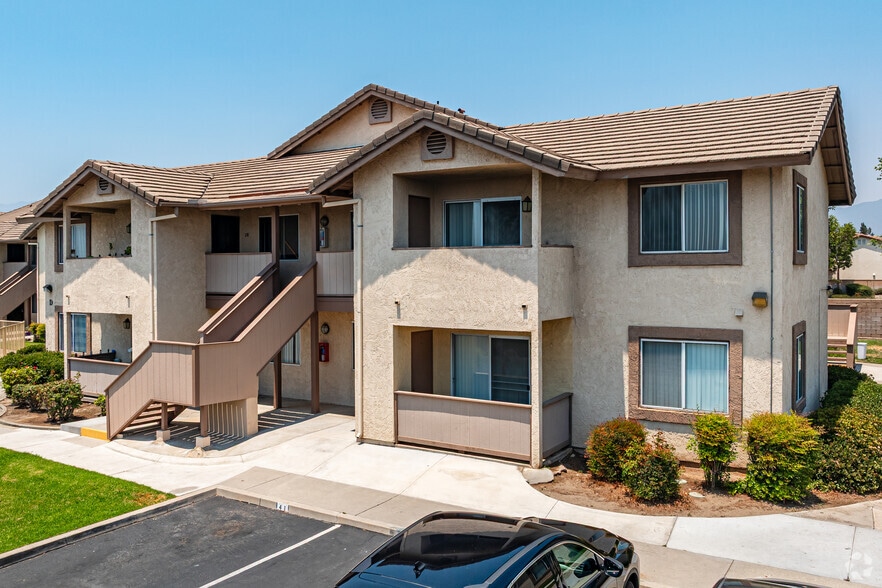 Primary Photo - Cactus Grove Apartments