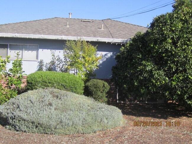 Primary Photo - 408 Flora Vista Ave