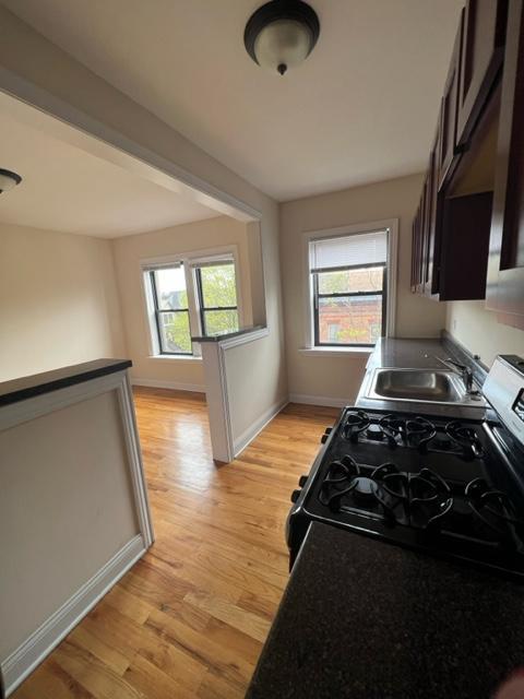 Building Photo - 1 bedroom in Chicago IL 60657