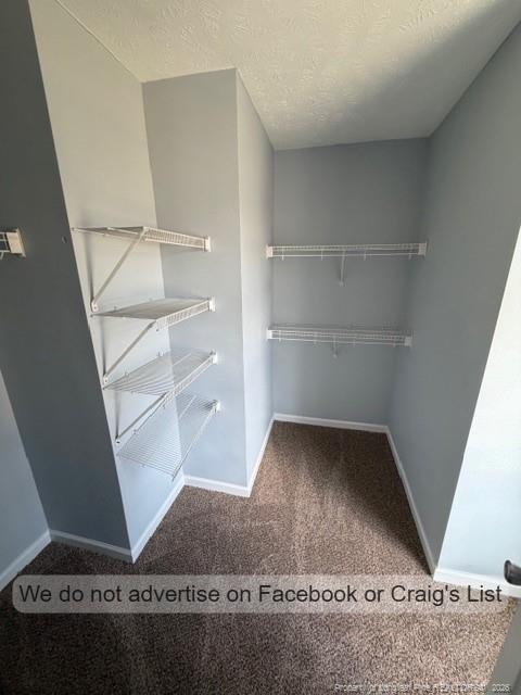 Building Photo - 2612 Gressitt Point lane