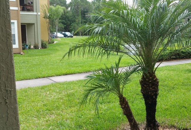 Building Photo - Gorgeous 2/2 condo for rent next to Waterf...
