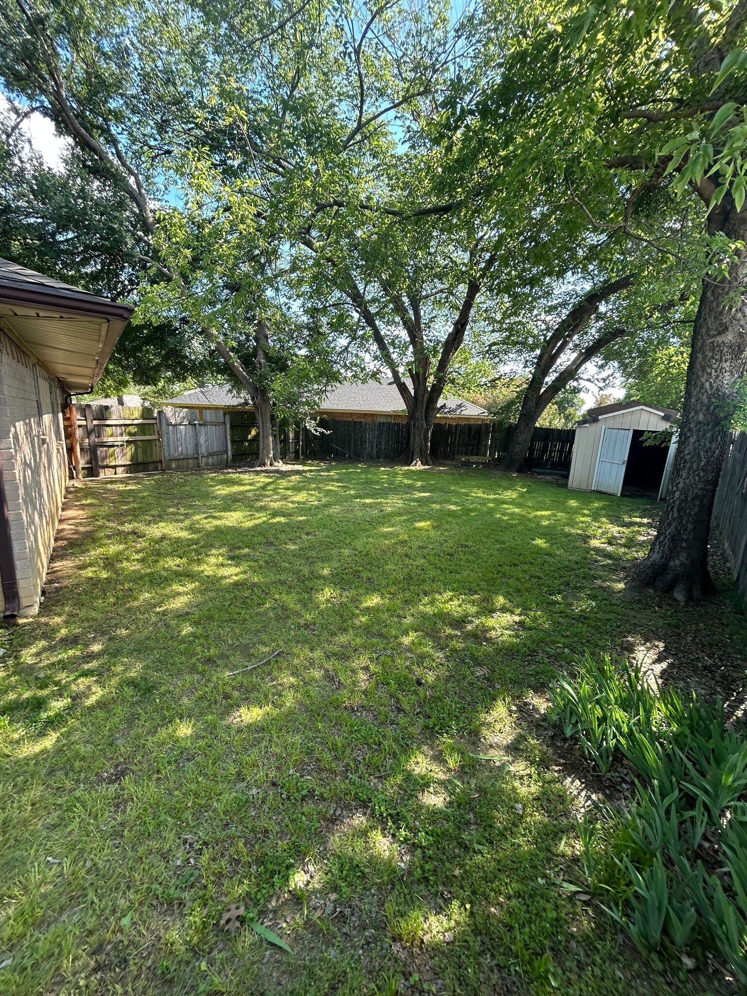 Building Photo - 1007 Almond Ct