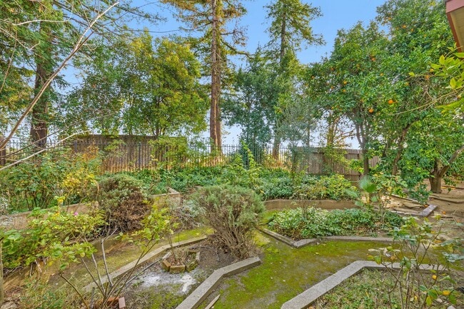 Building Photo - Beautiful 3 Bedroom home in Stonegate