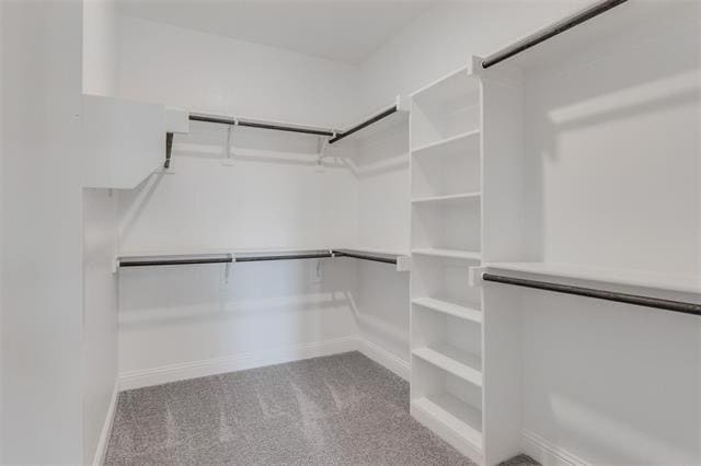 Building Photo - 1021 Catskill Ct