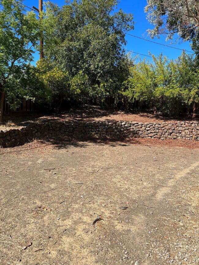 Building Photo - 1393 El Dorado Dr