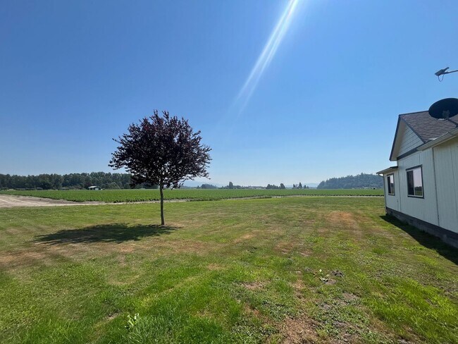 Building Photo - Large 2 bed 1 bath house in the country