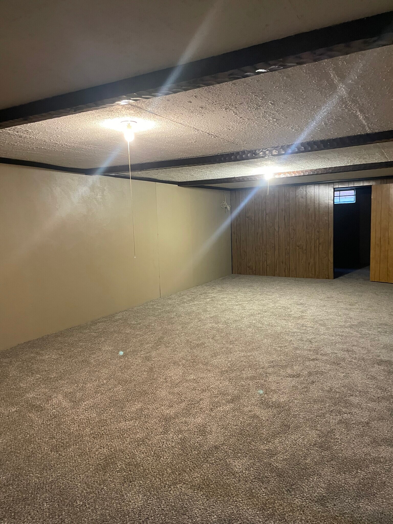 Large finished basement - 2606 Crums Ln