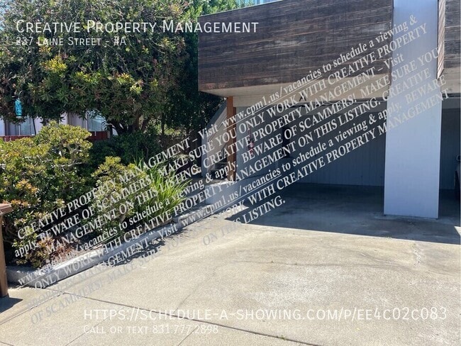 Building Photo - 237 Laine St