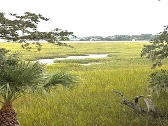 Building Photo - Broad Creek Landing