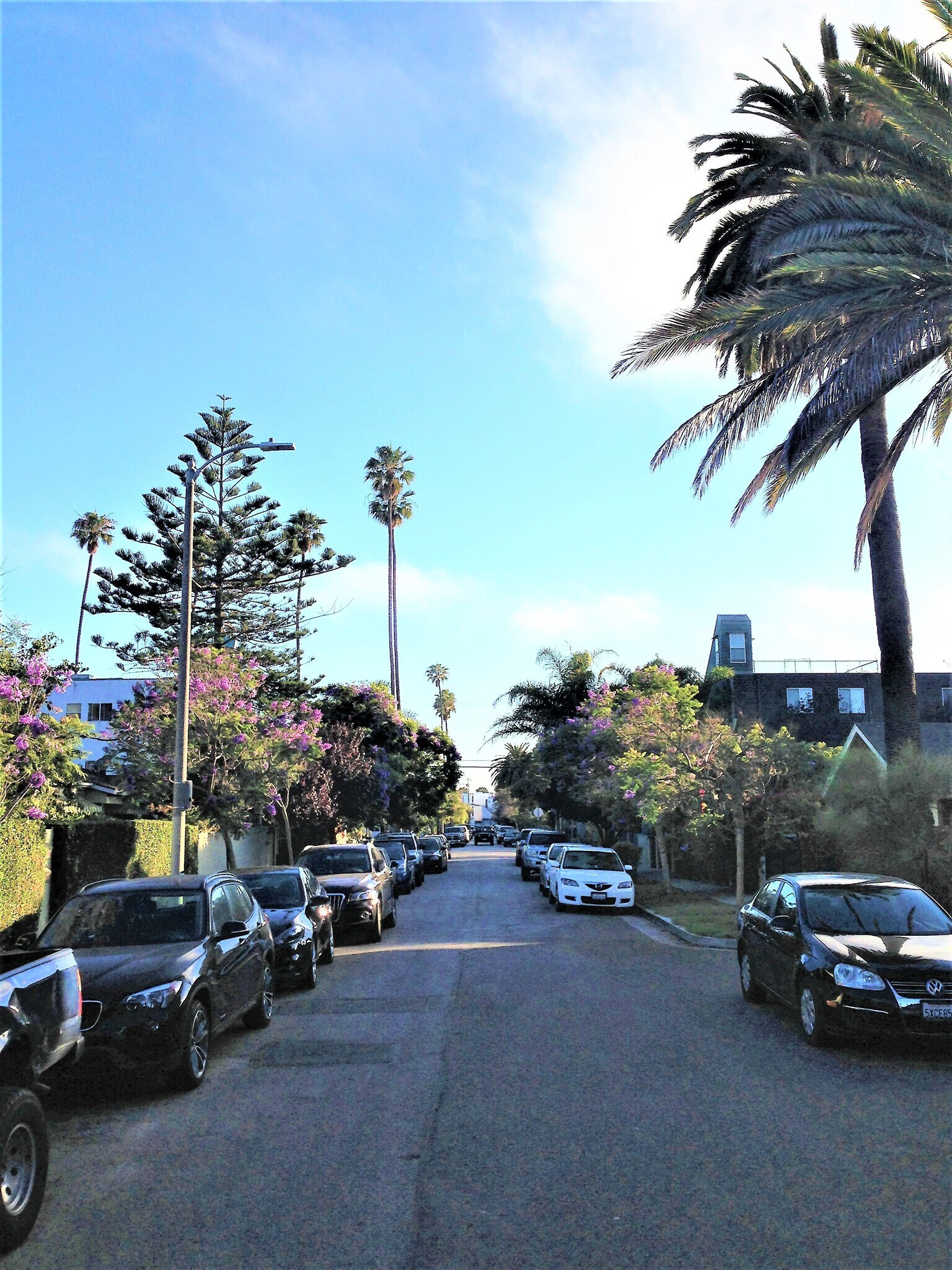 Building Photo - 631 San Juan Ave