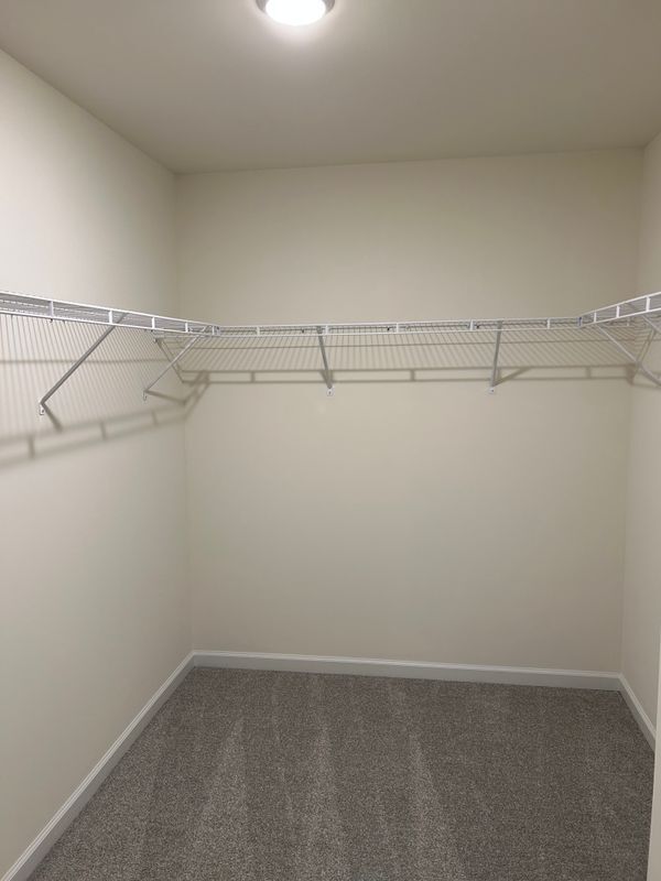 Building Photo - 402 Yellow Rose Ct