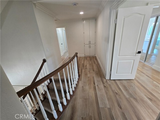 Building Photo - 1013 Cannonade Cir