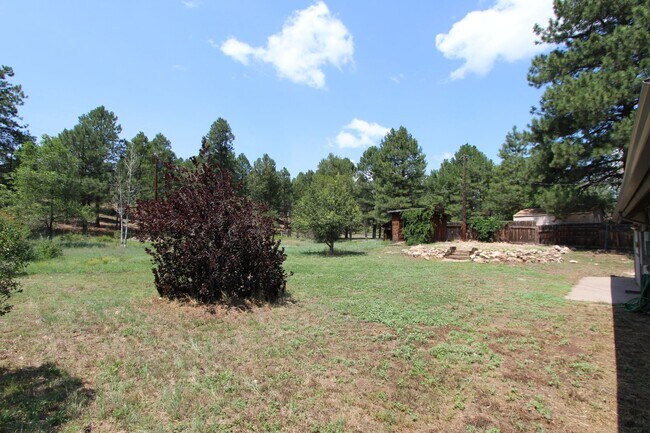 Building Photo - 3409 Pima Dr