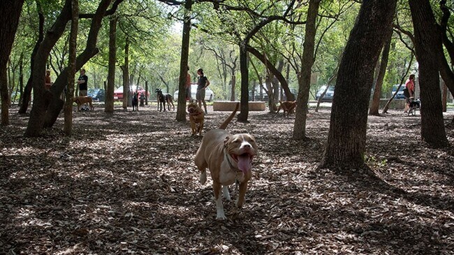 Building Photo - 2Bd Condo in Gated Community! Available November!