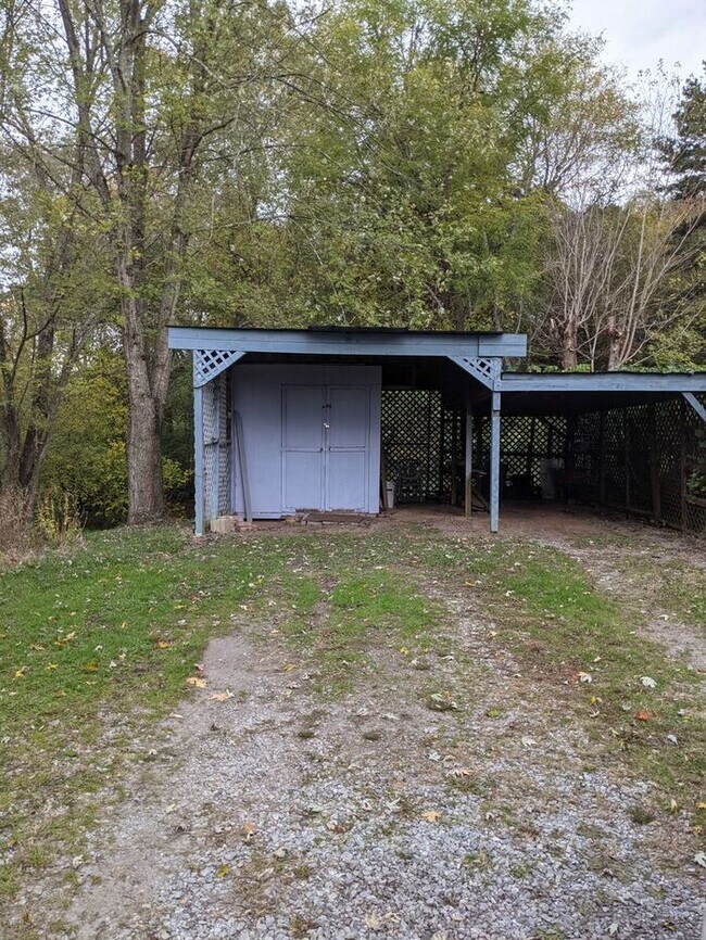 Building Photo - Charming West Asheville Basement Apartment