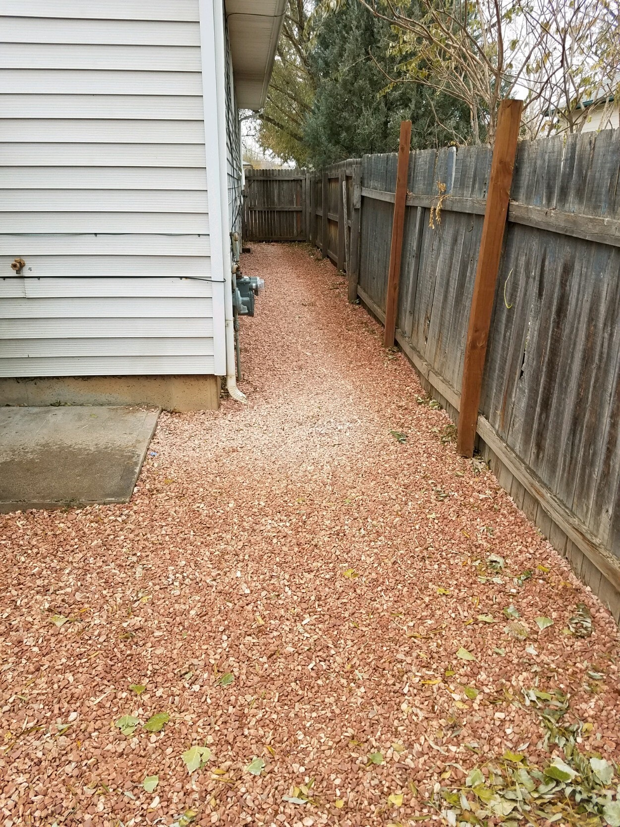 Private side yard - 3530 Pueblo Street