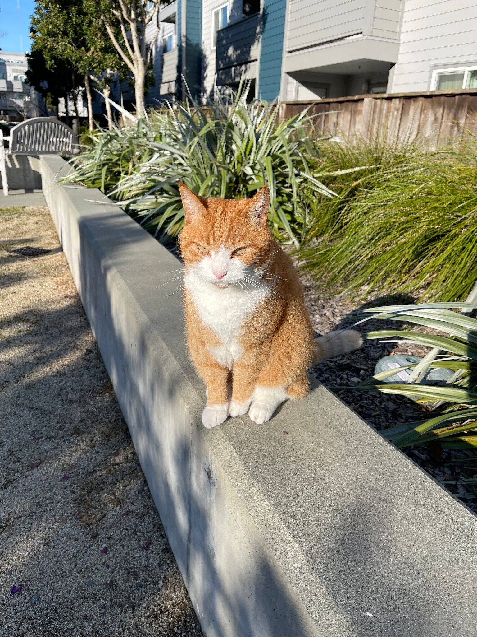 Building Photo - 6400 Christie Ave