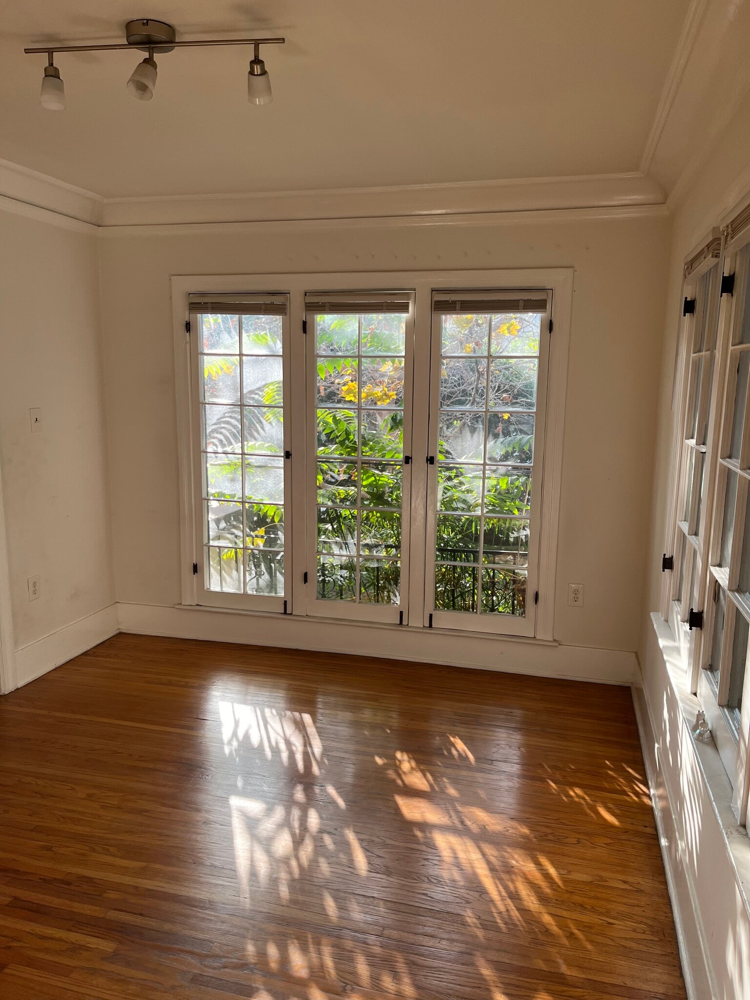 Building Photo - 504 N Heliotrope Dr