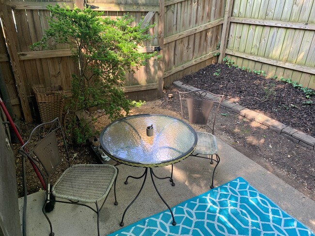 backyard - 109 Blithe Ct