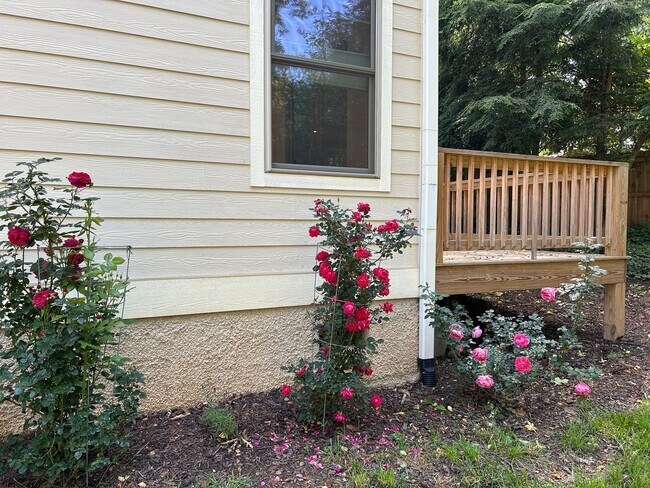 Building Photo - East AVL - 2022 Craftsman Custom Build