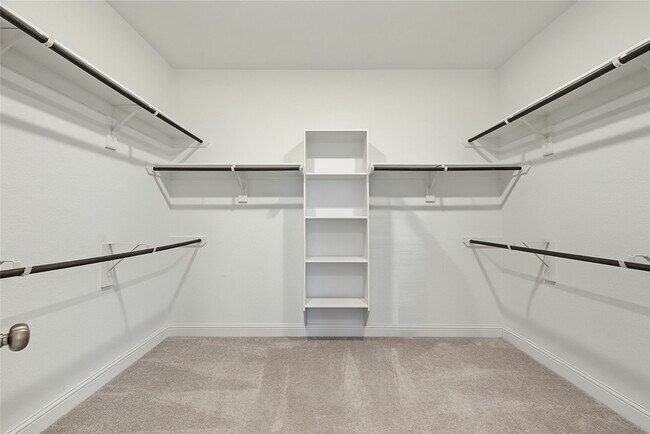 Building Photo - 4802 Albany Shores Ln