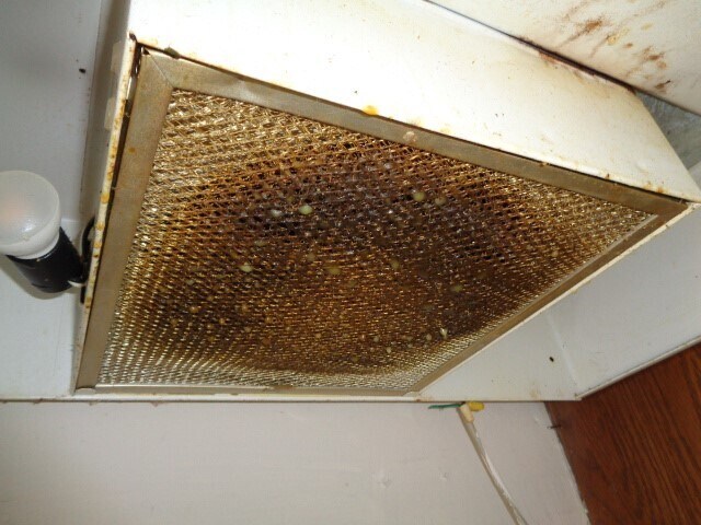 Building Photo - 10211 Golden Sunshine Dr