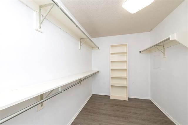 Building Photo - 1224 Woodthorpe Dr