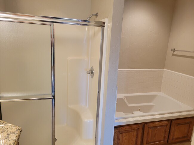 separate shower - 921 Blue Ridge Dr