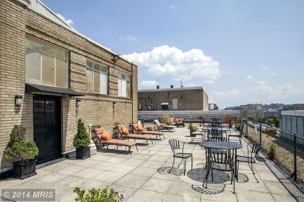 Relaxing rooftop - Lounge chairs, BBQ Grills, - 1727 Massachusetts Ave NW
