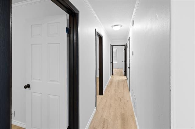 Building Photo - 417 Carroll Ave