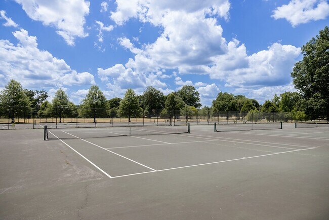 Building Photo - Newly Renovated 6 Bedrooms / 4 Bathrooms at Norris St