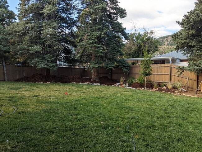 Side yard - 925 Grandview Ave