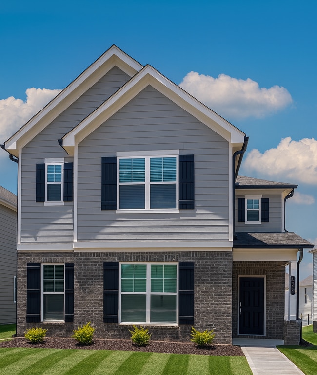 Building Photo - New Home in Braselton!
