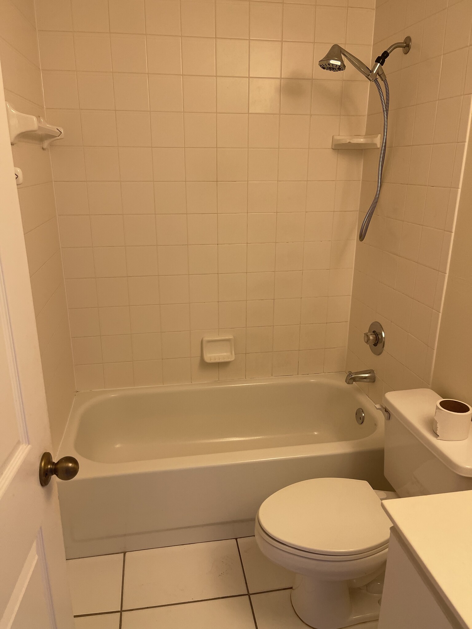 Guest bath - 326 Bradstrom Cir
